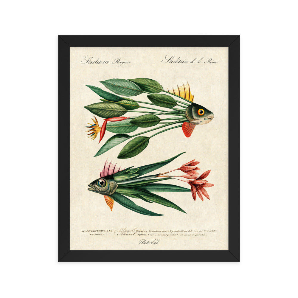 Leaf fish - Framed poster
