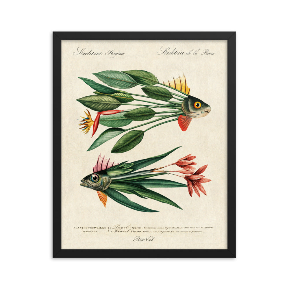 Leaf fish - Framed poster