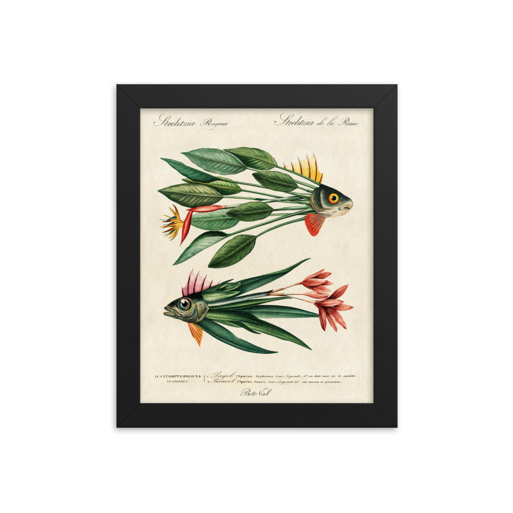 Leaf fish - Framed poster