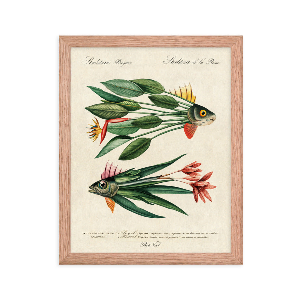 Leaf fish - Framed poster