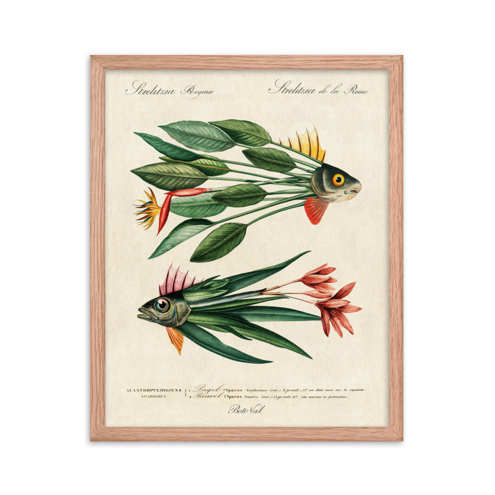 Leaf fish - Framed poster
