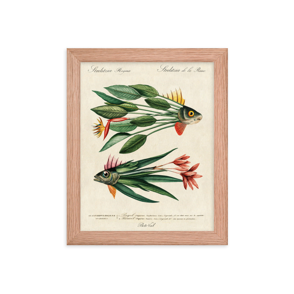 Leaf fish - Framed poster