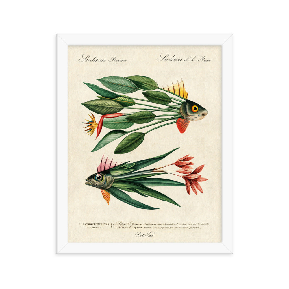 Leaf fish - Framed poster