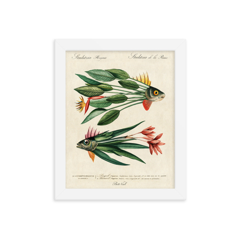 Leaf fish - Framed poster
