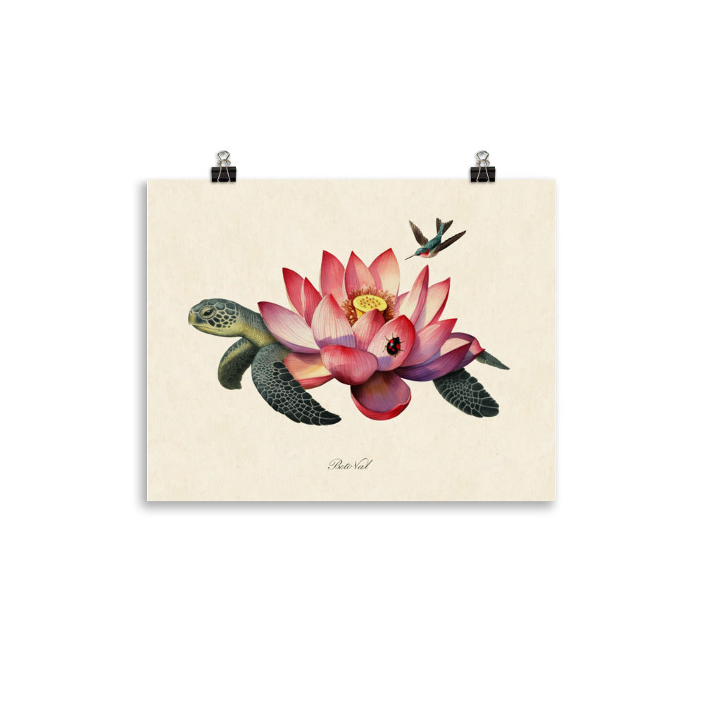 Turtle flower
