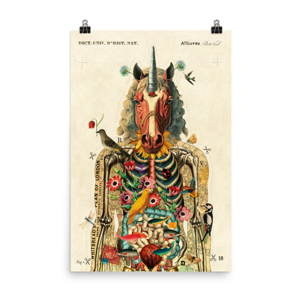 Autopsy of a unicorn - biggest format (24”x36”in / 61x91cm)