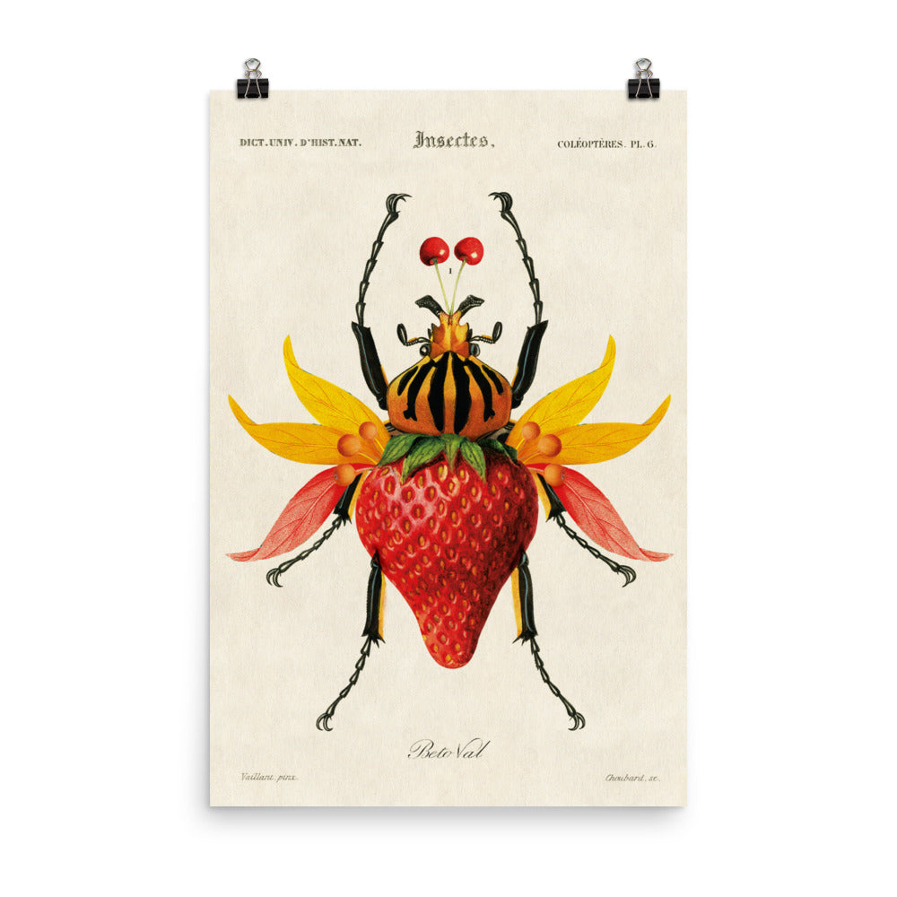 Insect fruit - biggest format (24”x36”in / 61x91cm)