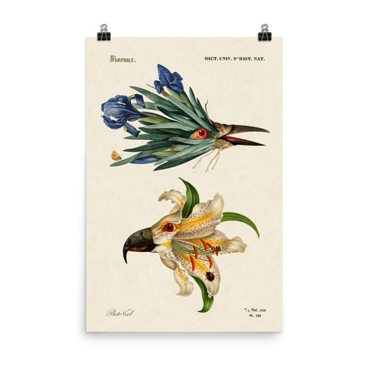 Flower birds #2 - biggest format (24”x36”in / 61x91cm)