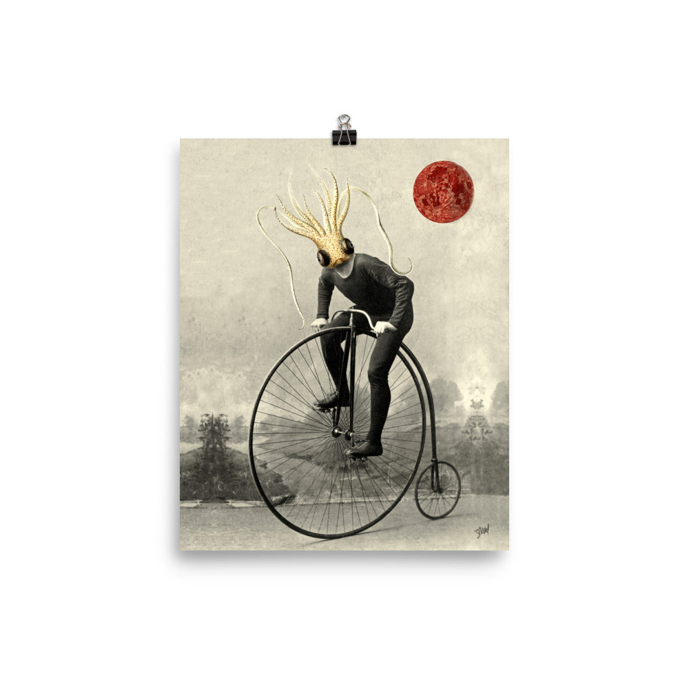 Rider
