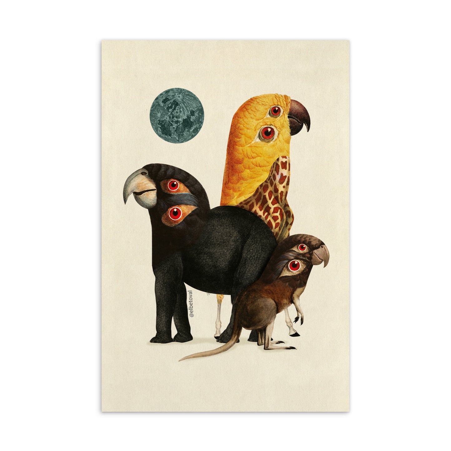 Herd - Postcard