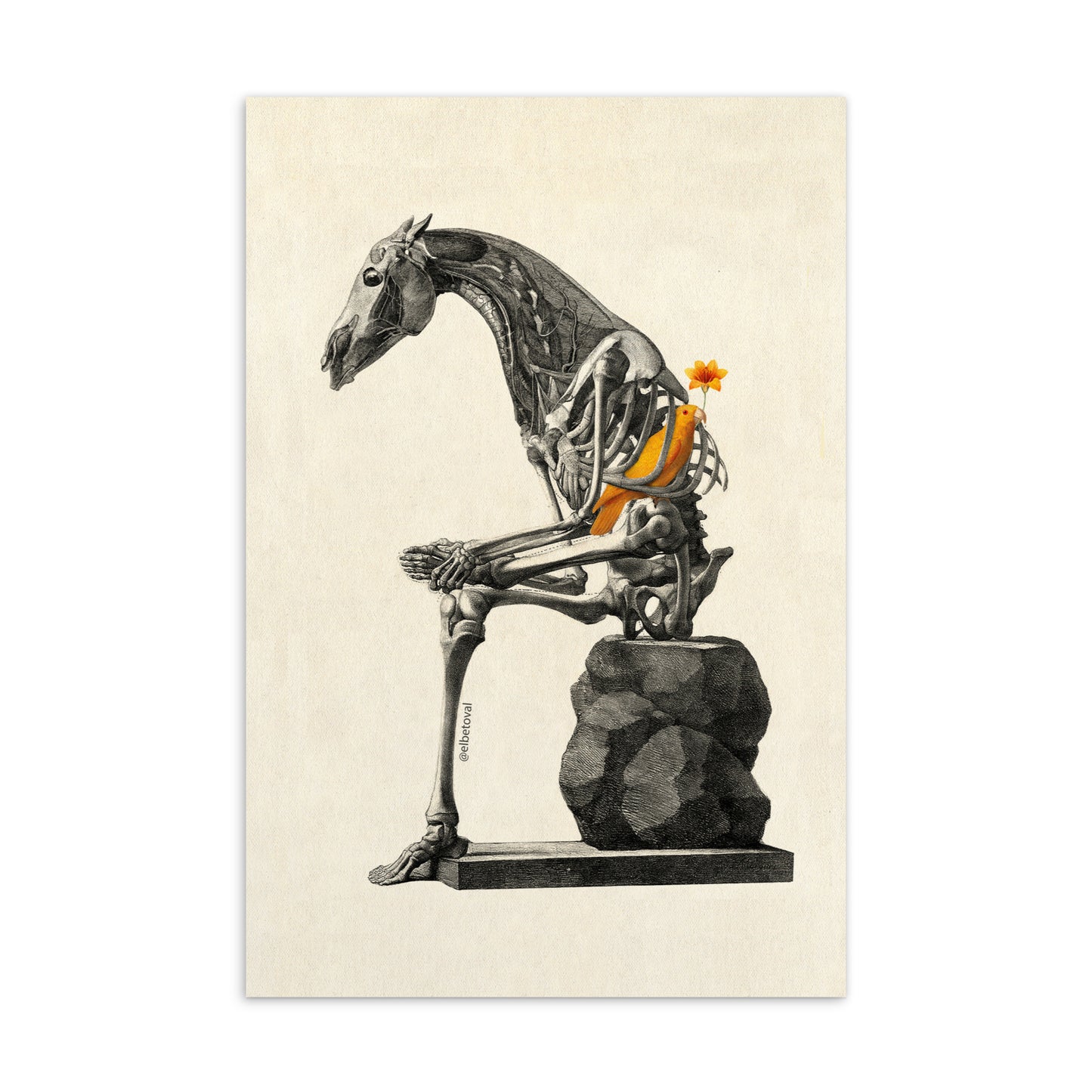 Break - Postcard