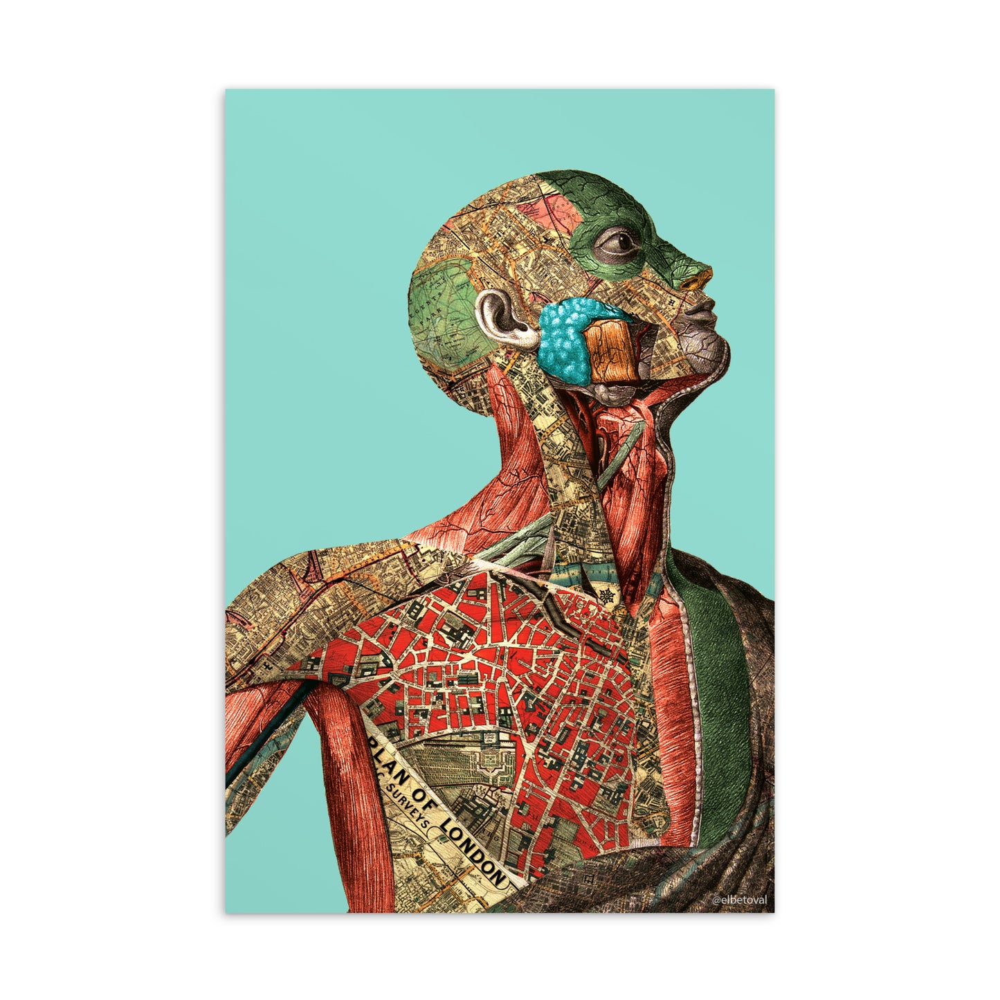 Arteries - Postcard