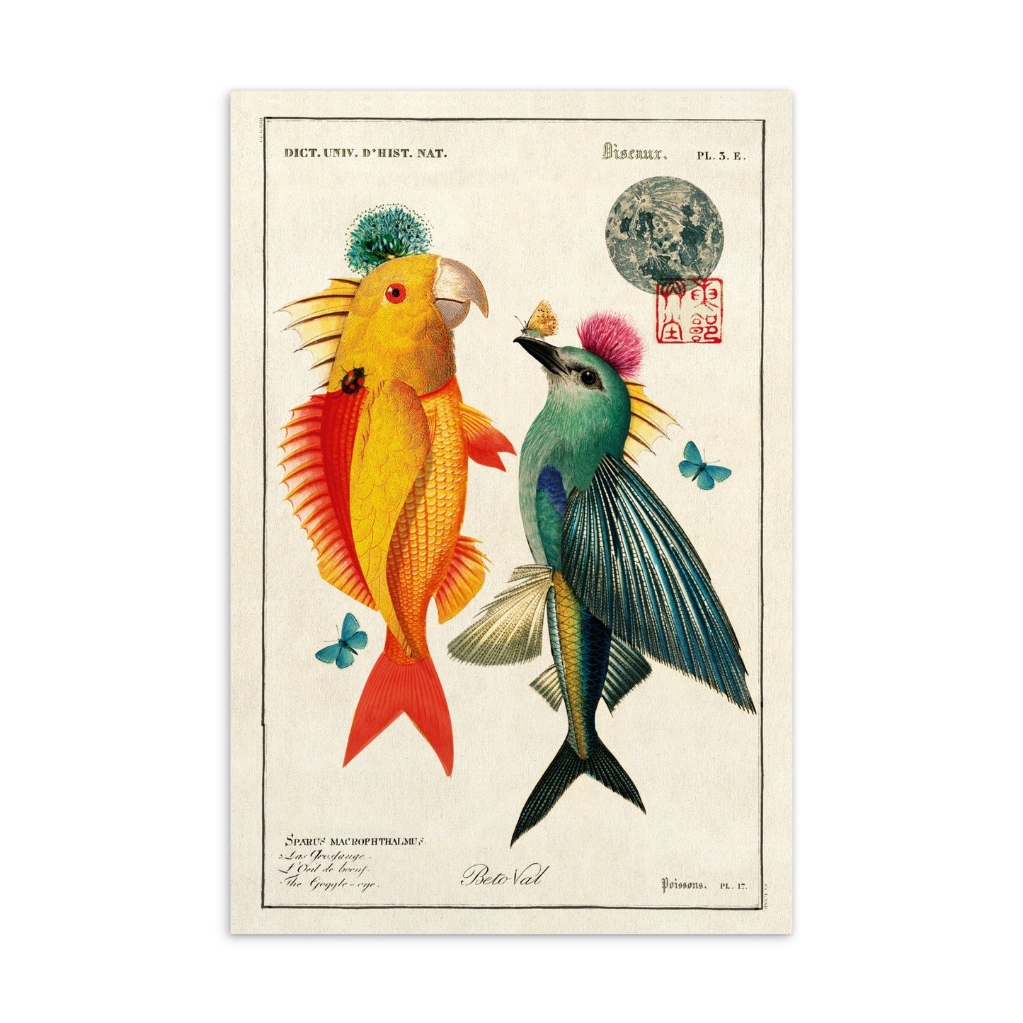 tit for tat! - Postcard