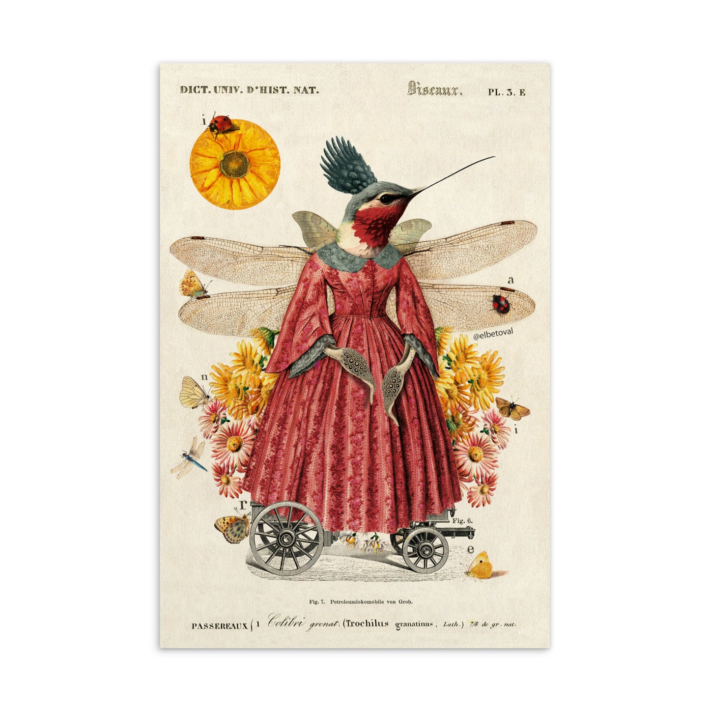 Queen Margaret - Postcard