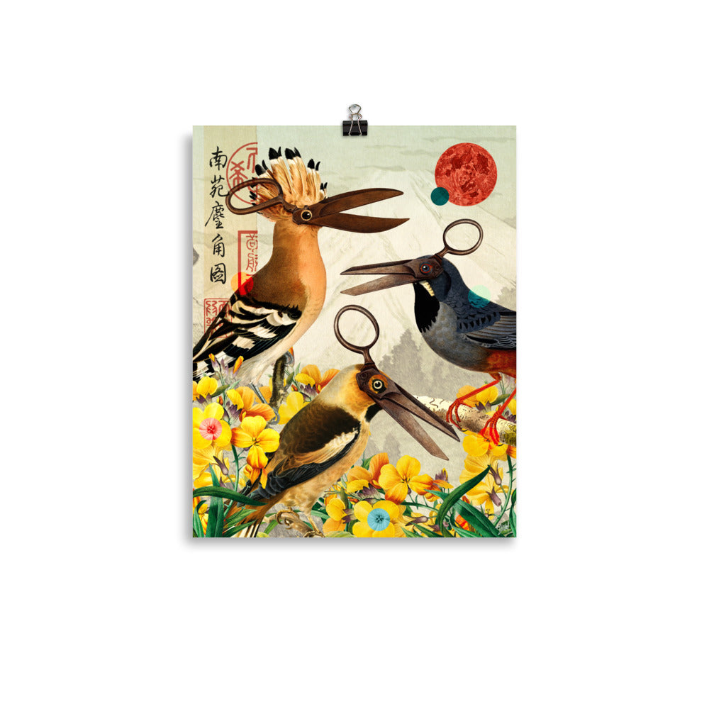 Birds scissor