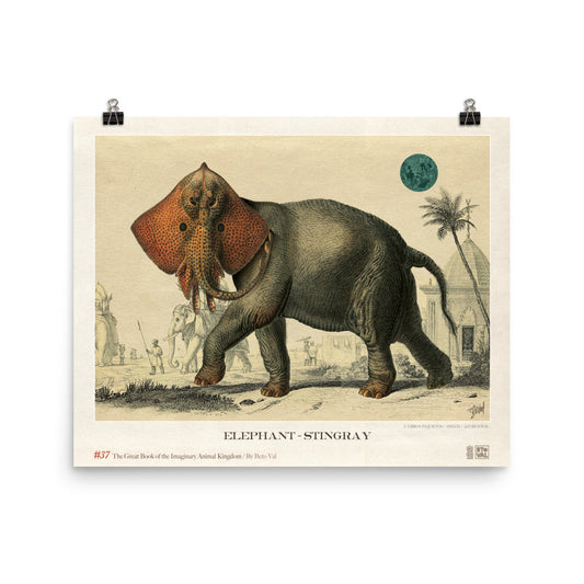Elephant - stingray