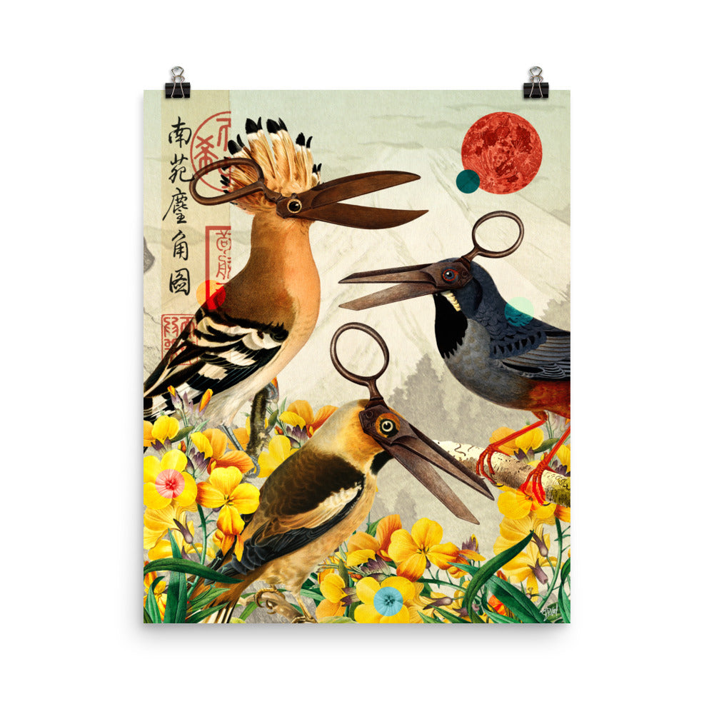 Birds scissor