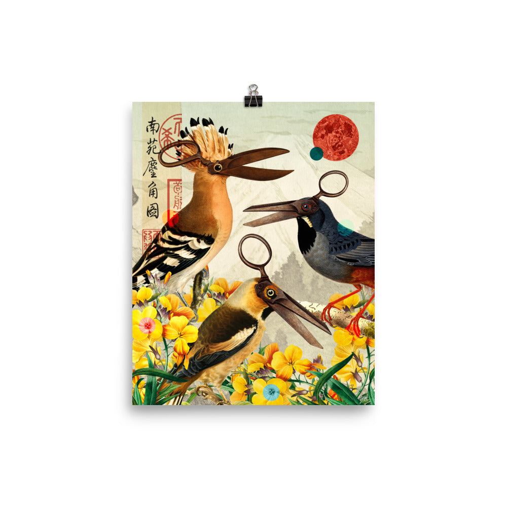 Birds scissor