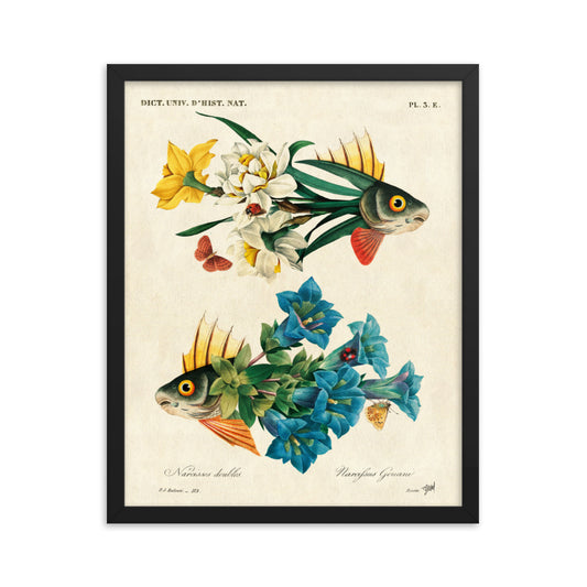 Flower fish - framed poster