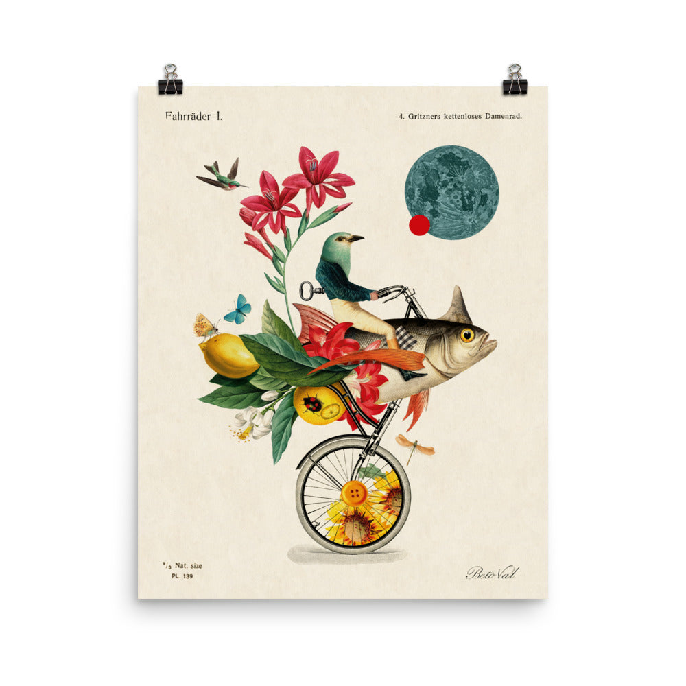 Monocycle fish
