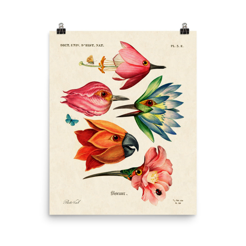 Flower birds