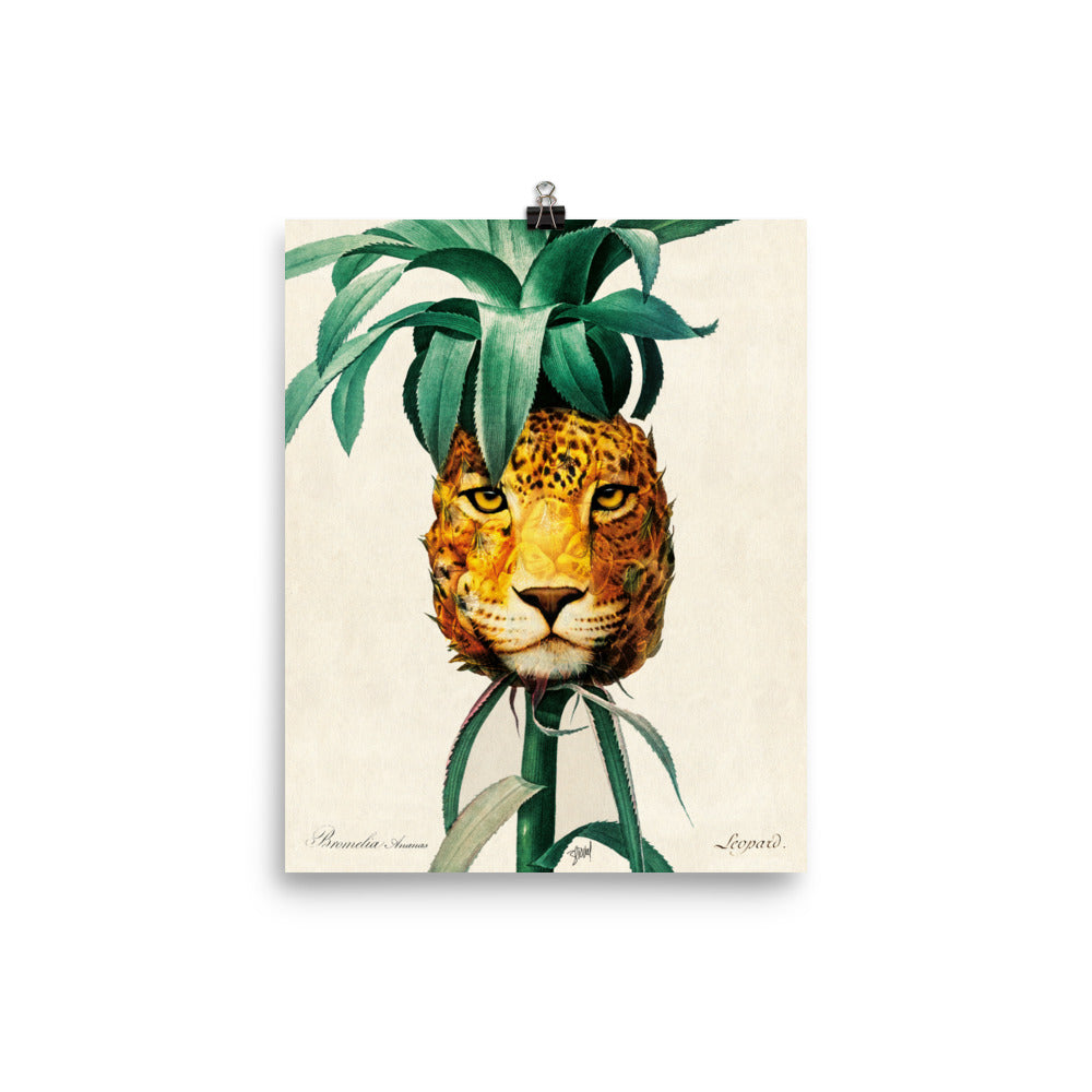 Leopard pineapple