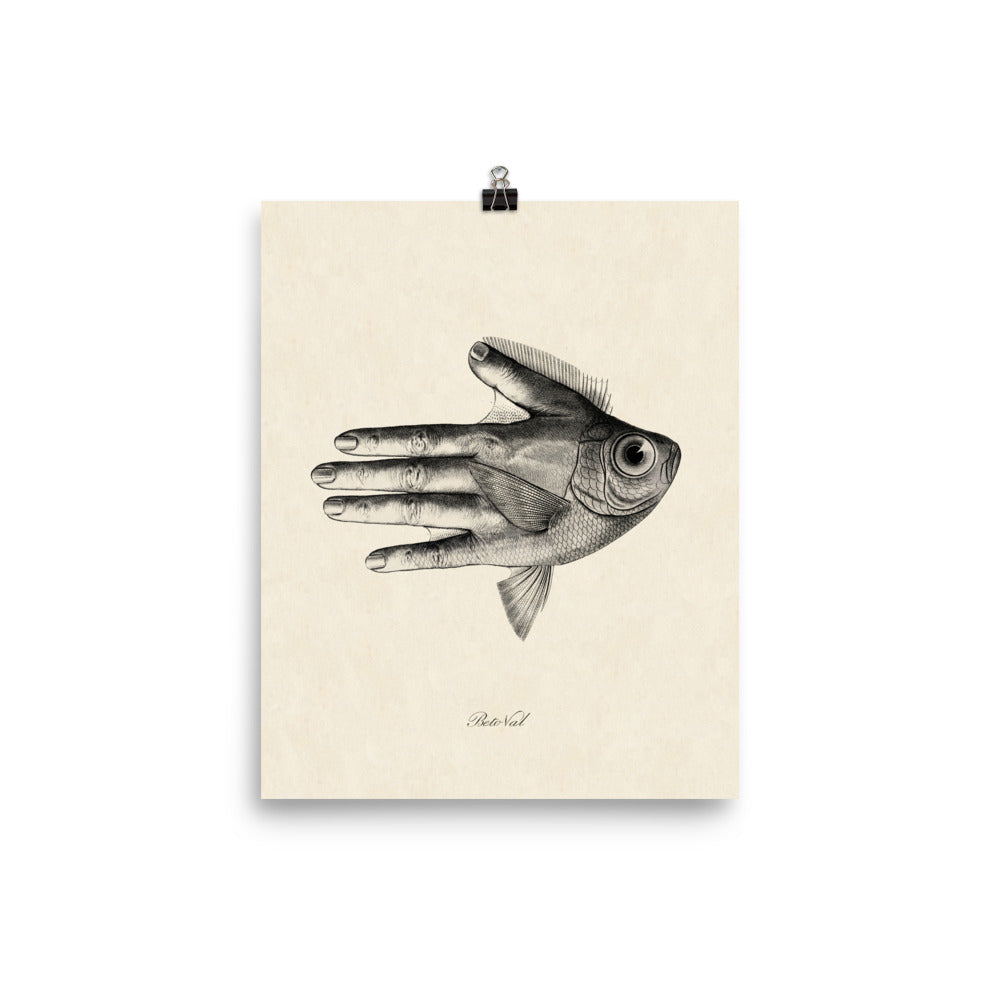 Hand Fish Graph Hand fish – elbetoval