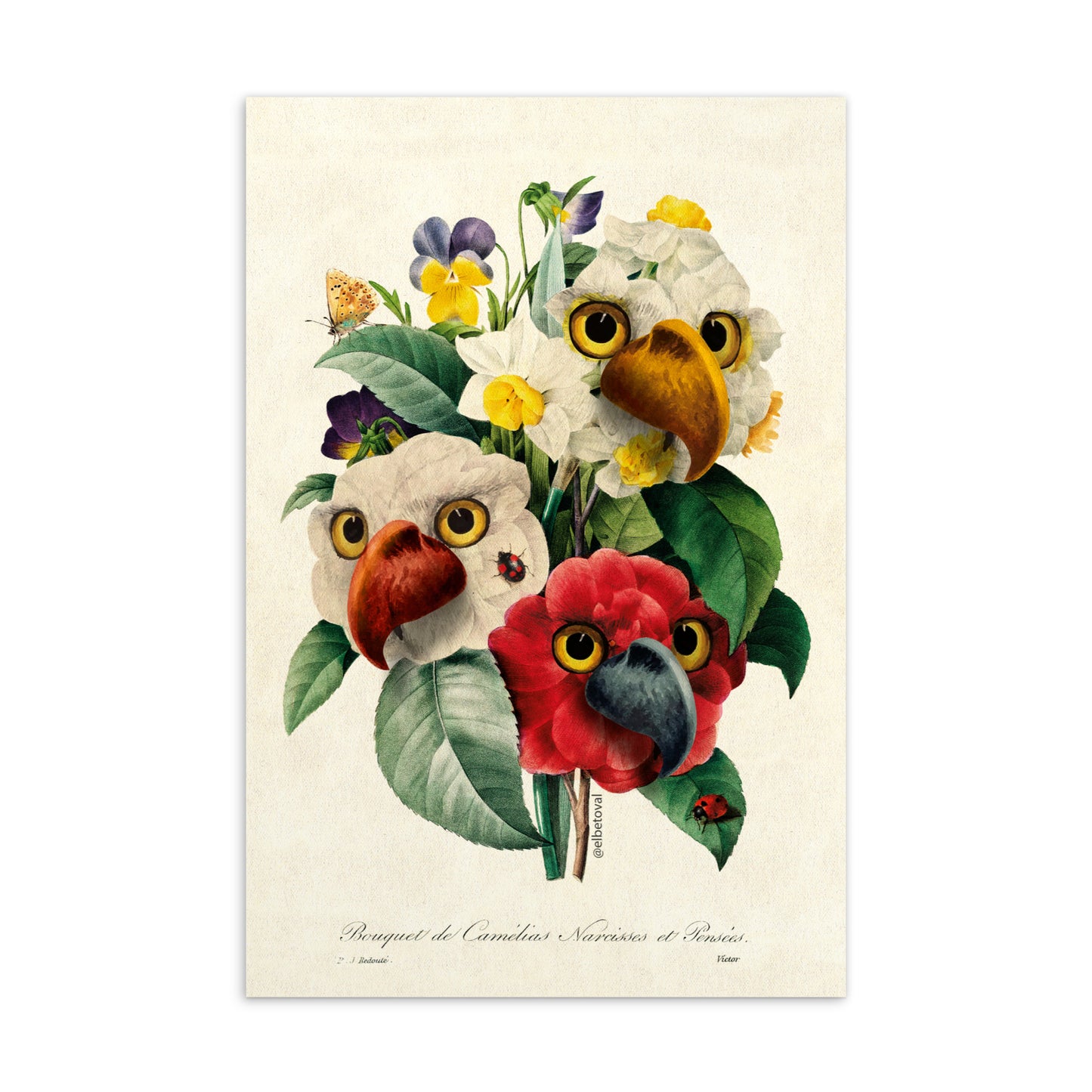 Parrot flower Postcard