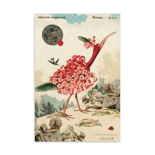 Flamingo in flower - Postcard