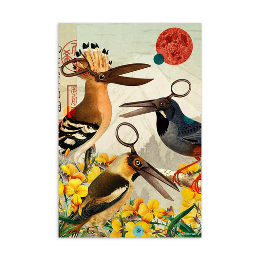 Birds scissor - Postcard