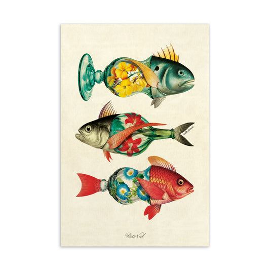 Vase fish - Postcard