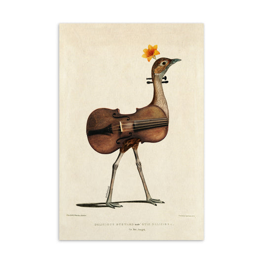 Music bird - Postcard