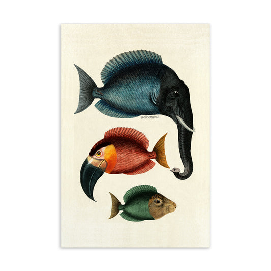 Three fish - Postcard
