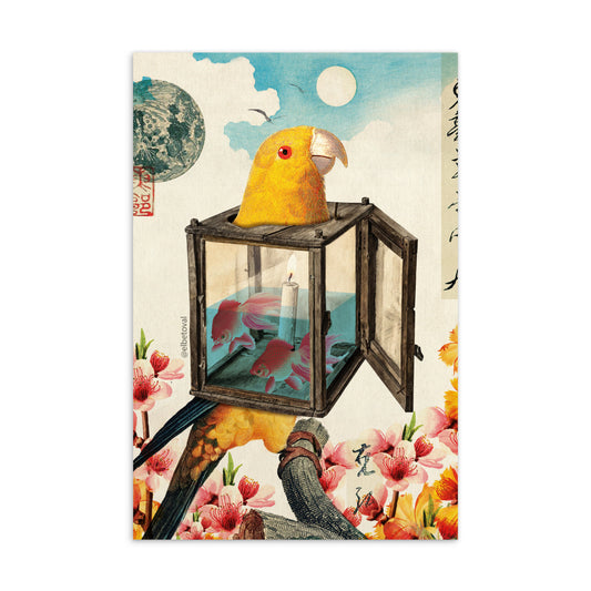 Bird lamppost - Postcard