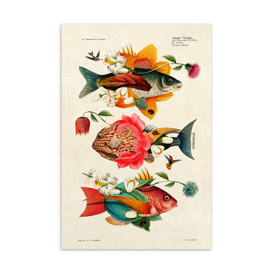 Fish bloom - Postcard