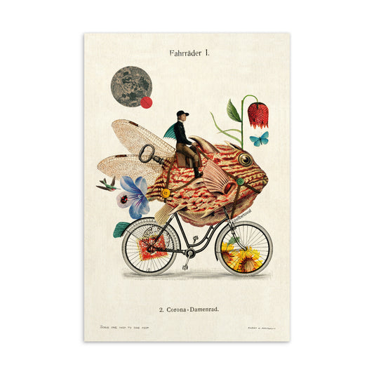 Fishcycle - Postcard