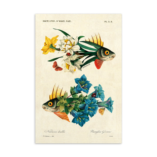 Flower fish 2 - Postcard