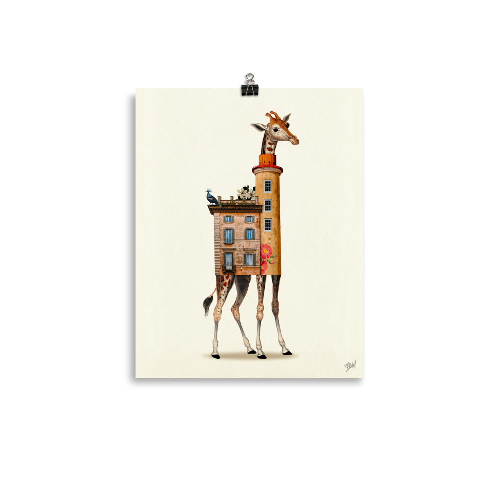 Giraffe - urban wildlife #2