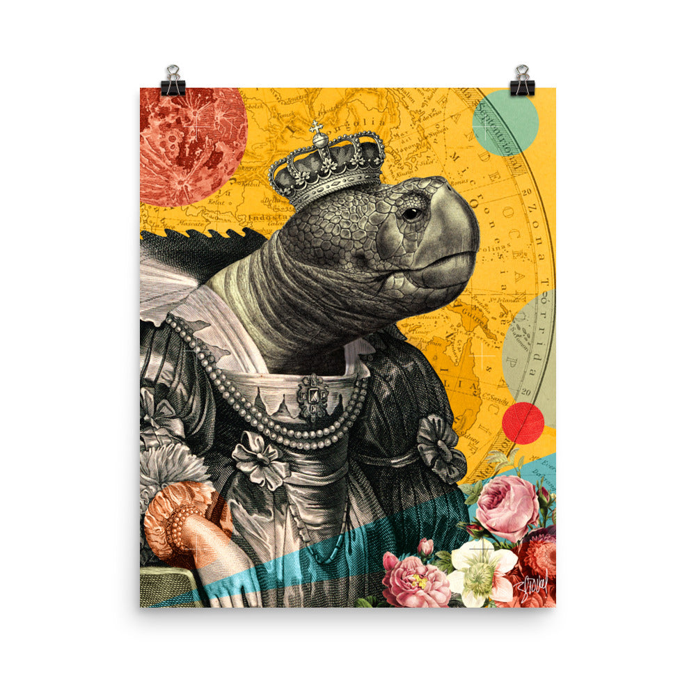 The Turtle Queen - Wild aristocracy #1