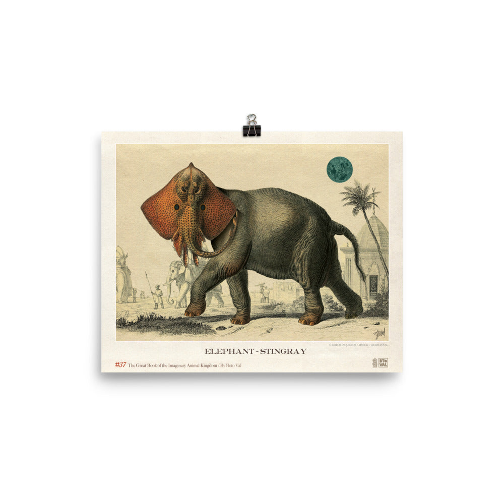 Elephant - stingray