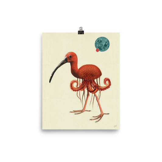 Jellyfish bird