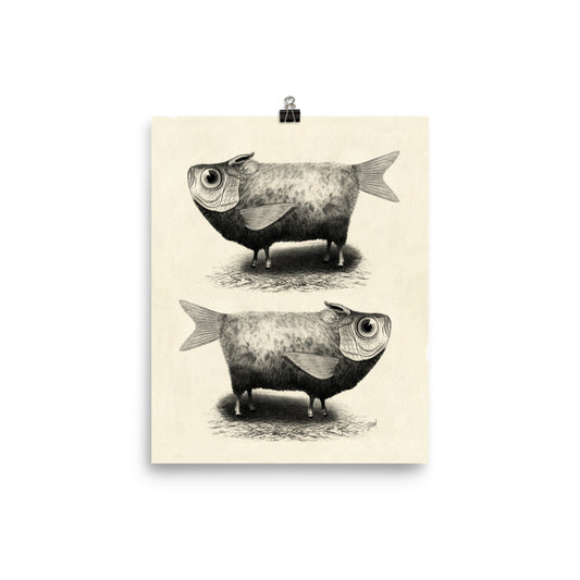 Sheep fish